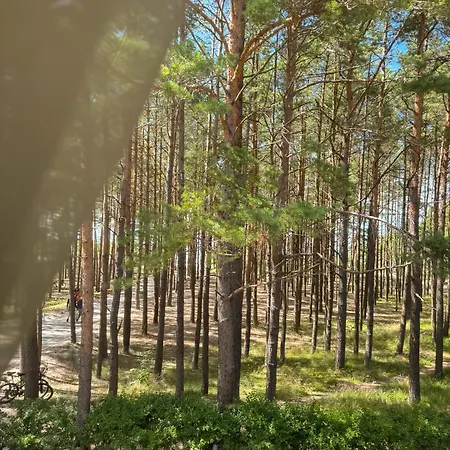 Kurortas 3* Palanga