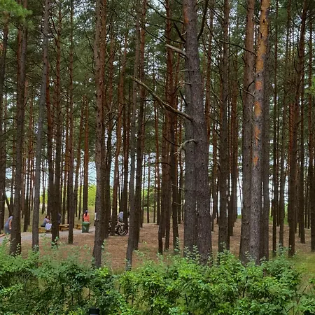 Aparthotel Kurortas 3*